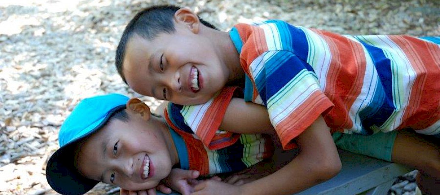 {$image->description}