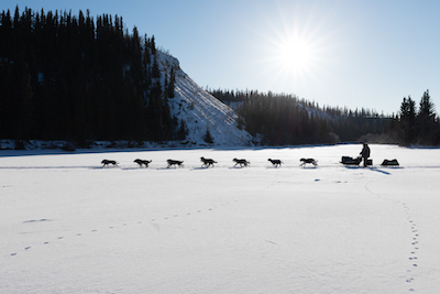 Dogsledding Across the Canadian Tundra